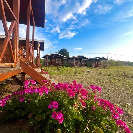 Satsumania Village Homestay *